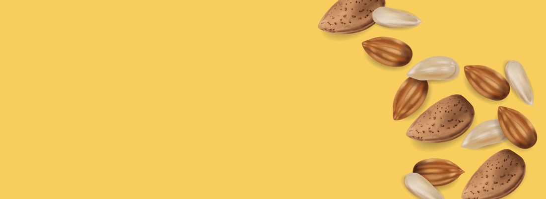 Blog - shaffilabs.com