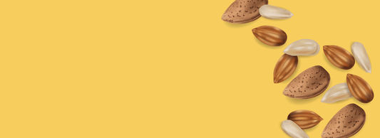 Blog - shaffilabs.com