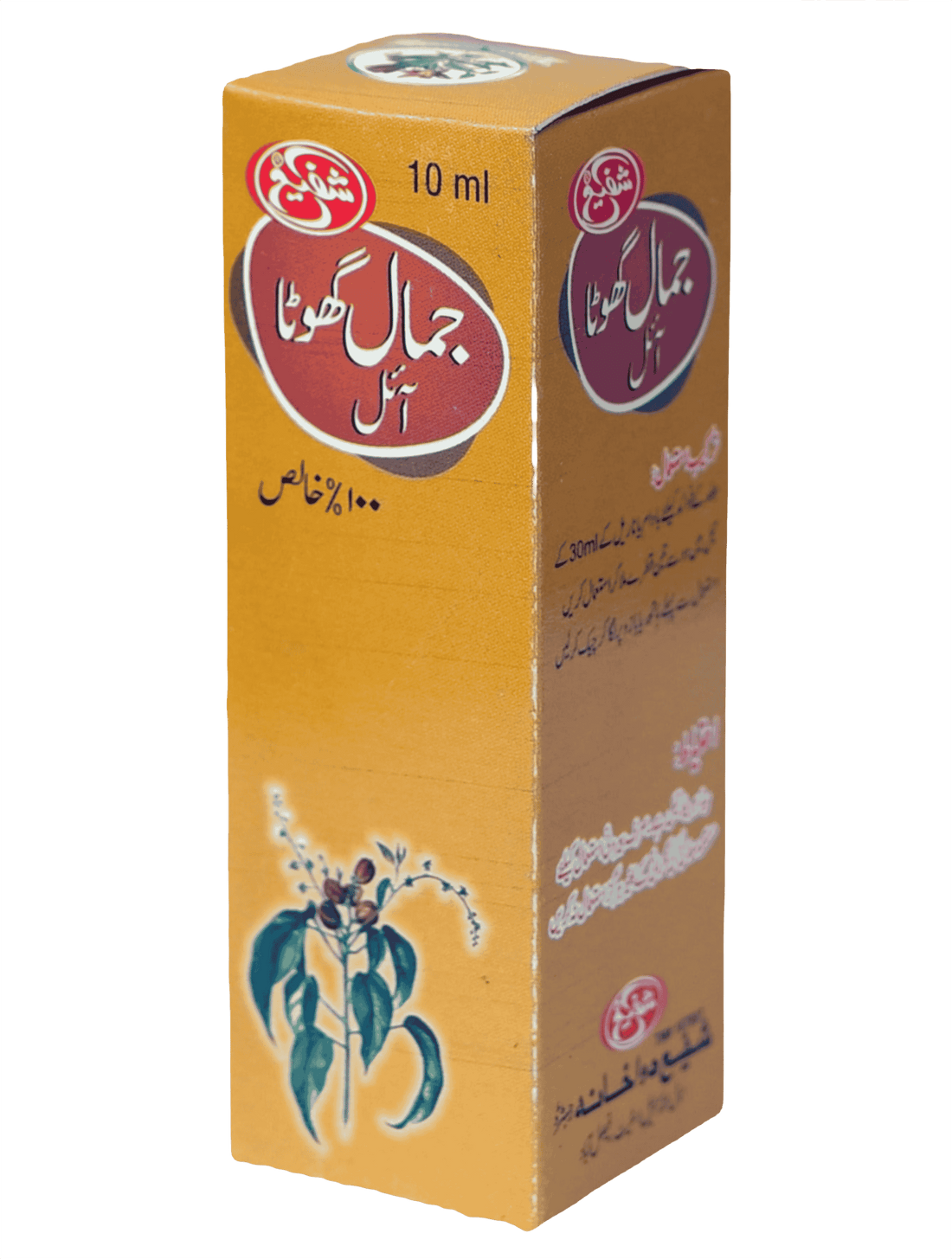 Roghan-e-Jamalgota (Croton Seed Oil)